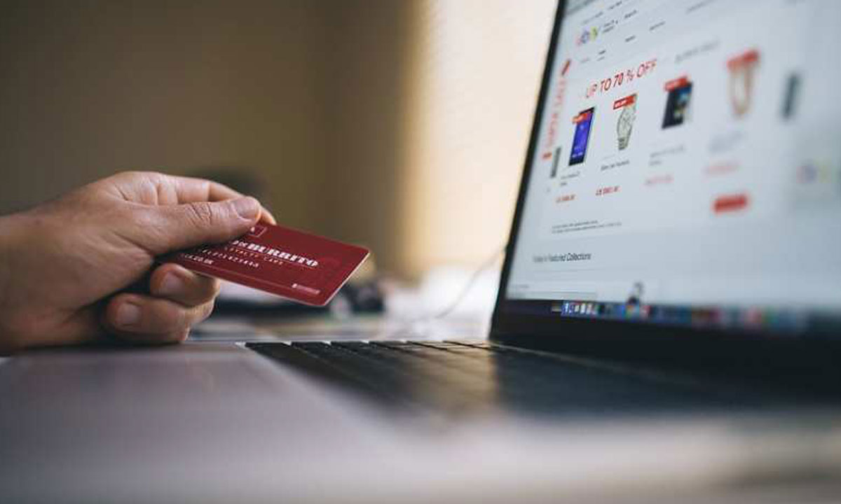 Top CC Bins for 2024: Find the Best CC Bins 2024 Here